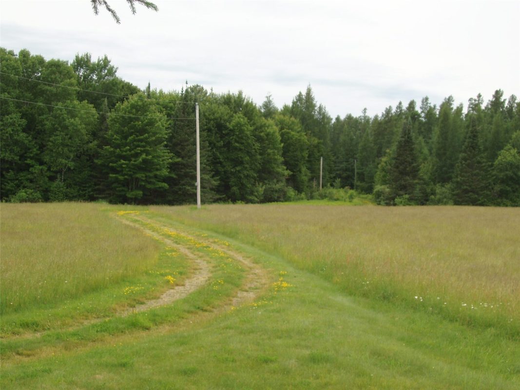 N16798 Bass Lake Road, Butternut WI 54514 - Residential house for sale - MLS #1603059 - image33