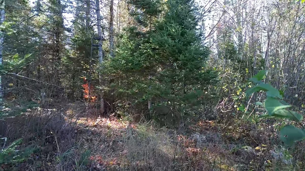4800 43 Road, Solon Springs WI 54783 - Land house for sale - MLS #1606105 - image15