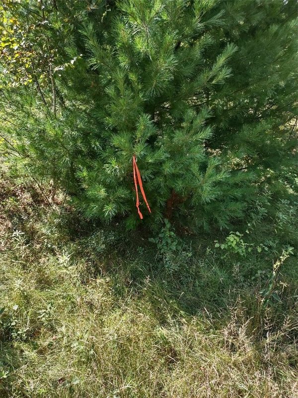 TBD Lot 7 10 1/4 Avenue, Chetek WI 54728 - Land house for sale - MLS #1595118 - image4