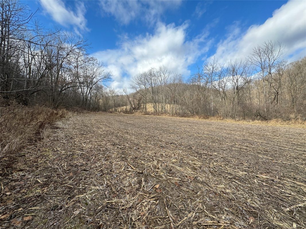 W1310 Earney Road, Alma WI 54610 - Residential house for sale - MLS #1604945 - image25