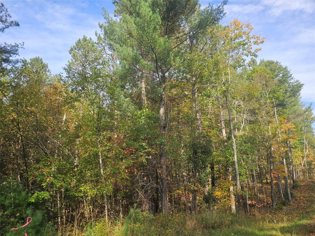 xxx County Road H Road Danbury WI 54830 — photo 10