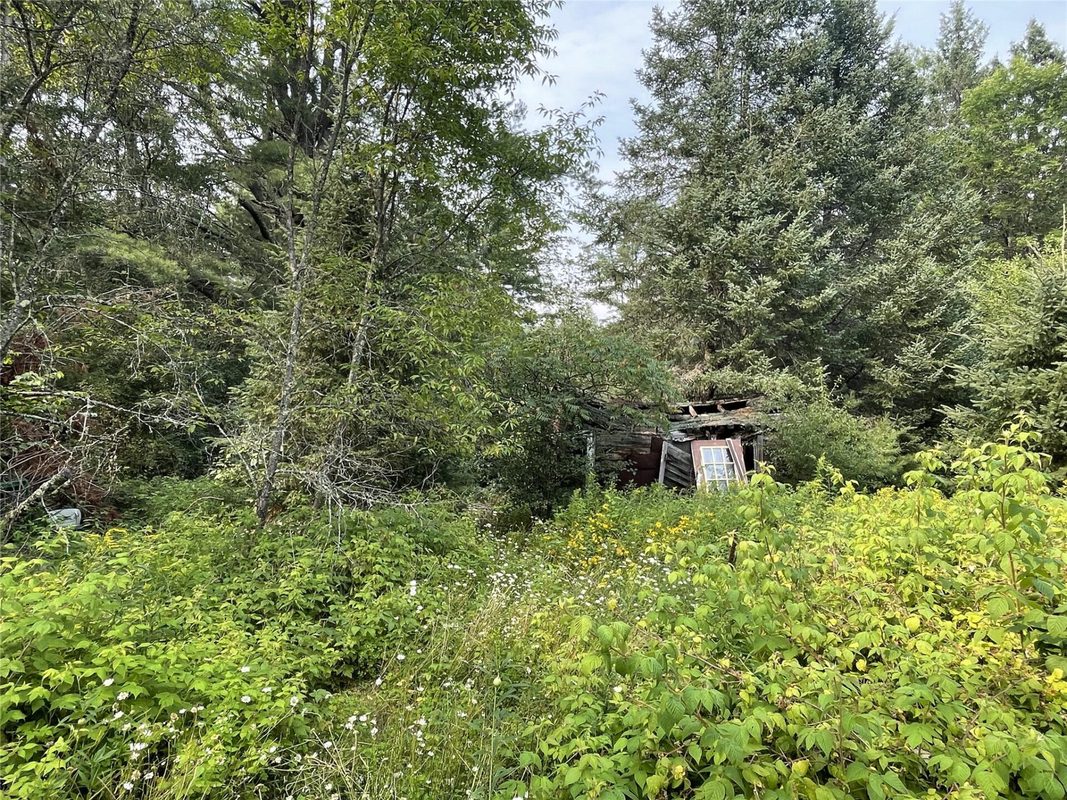 N14396 Krucky Road, Fifield WI 54524 - Land house for sale - MLS #1604496 - image3