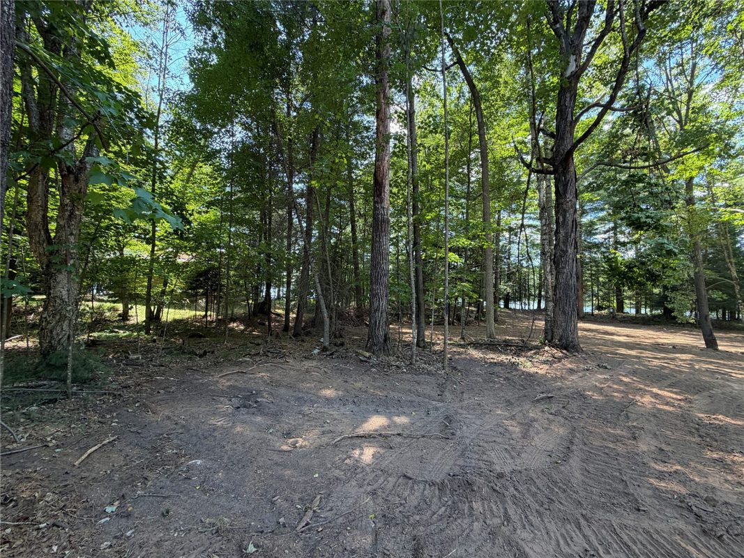 6856W Wolf Island Drive, Hayward WI 54843 - Land house for sale - MLS #1603968 - image17