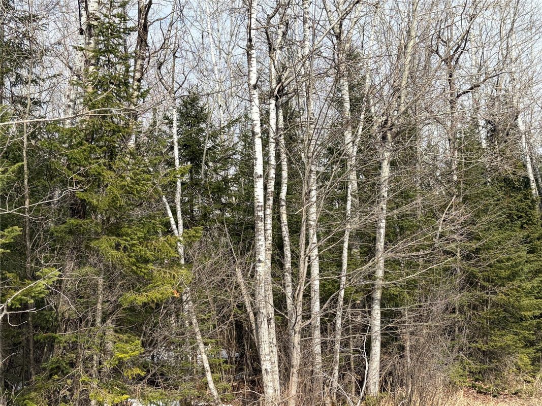 ON CTH F Park Falls WI 54552 — photo 4