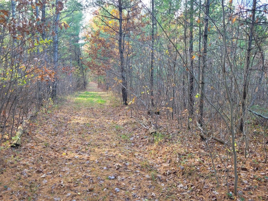 N10835 Kovar Road, Merrillan WI 54741 - Land house for sale - MLS #1606219 - image20