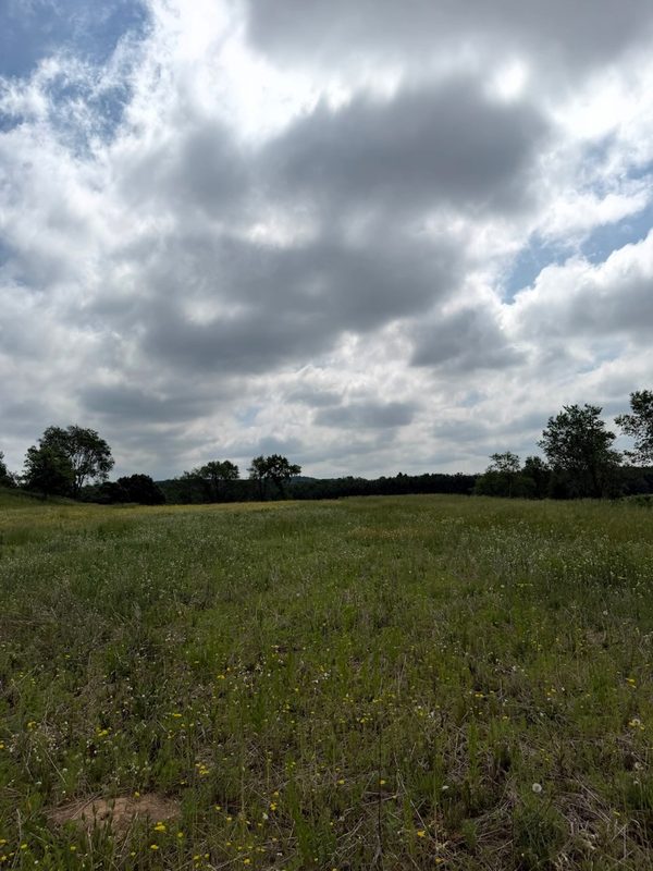 Lot 2 County Road F, Boyceville WI 54725 - Land house for sale - MLS #1601758 - image9