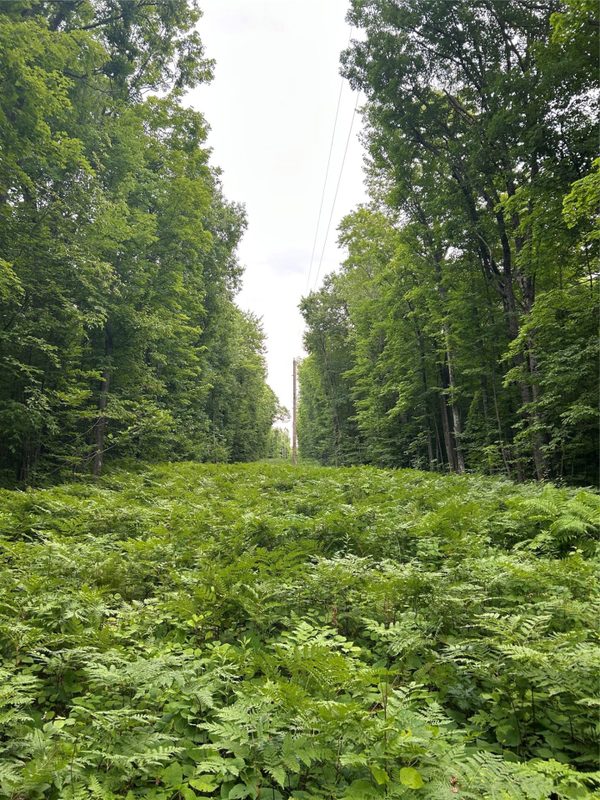 On Strabel Road, Stone Lake WI 54876 - Land house for sale - MLS #1604177 - image10
