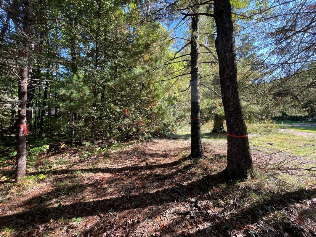 6073 Elsie Road, Stone Lake WI 54876 - Land house for sale - MLS #1602616 - image17