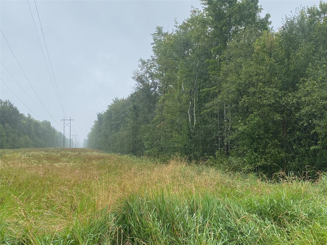 ON Pennington Road, Prentice WI 54556 - Land house for sale - MLS #1599132 - image2