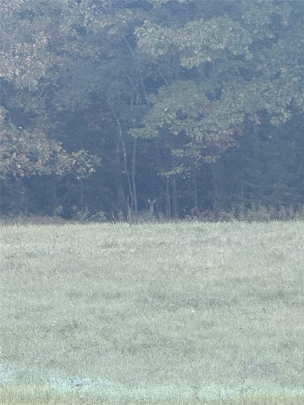 W8794 Moonshine Alley Lot 1, Catawba WI 54515 - Land house for sale - MLS #1605711 - image6