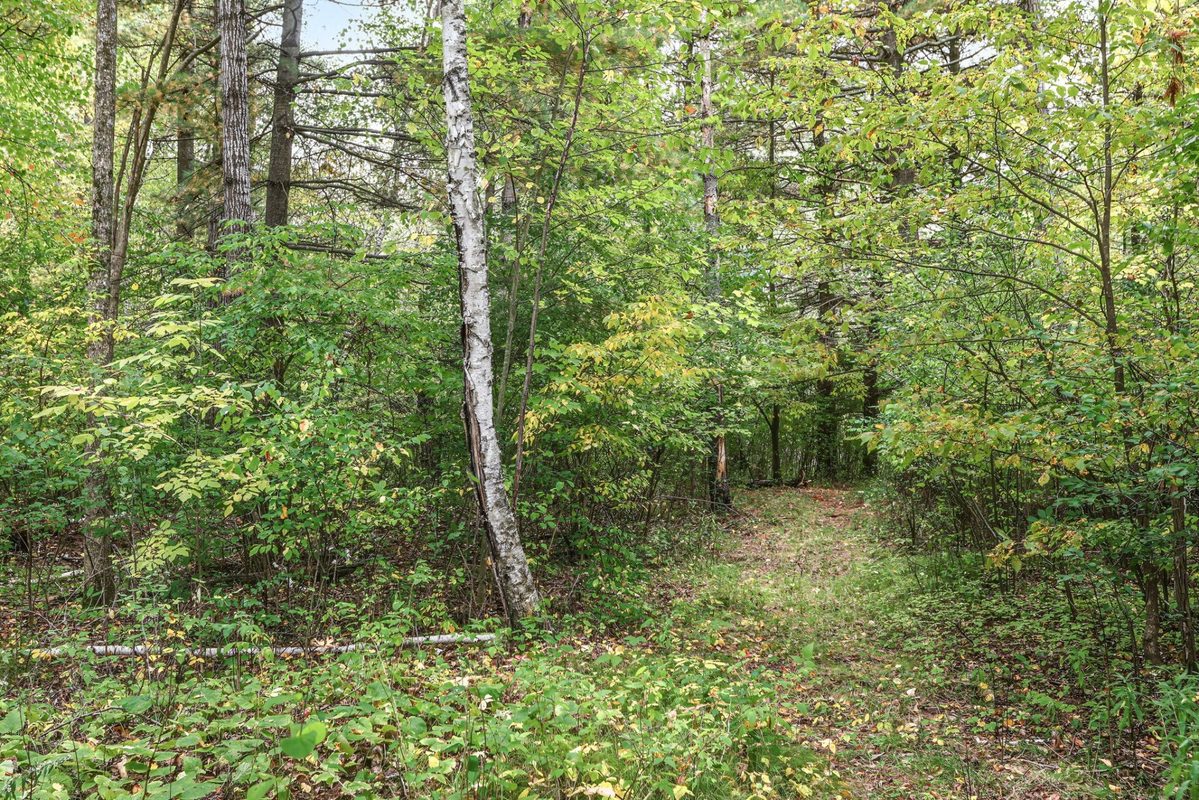 26811 County Highway X, Cadott WI 54727 - Residential house for sale - MLS #1605515 - image27