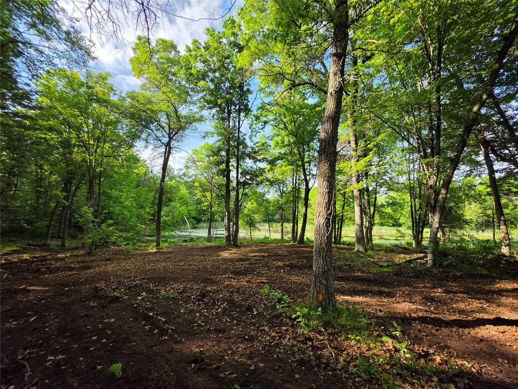 27646 295th (Lot 14) Avenue, Holcombe WI 54745 - Land house for sale - MLS #1602155 - image9
