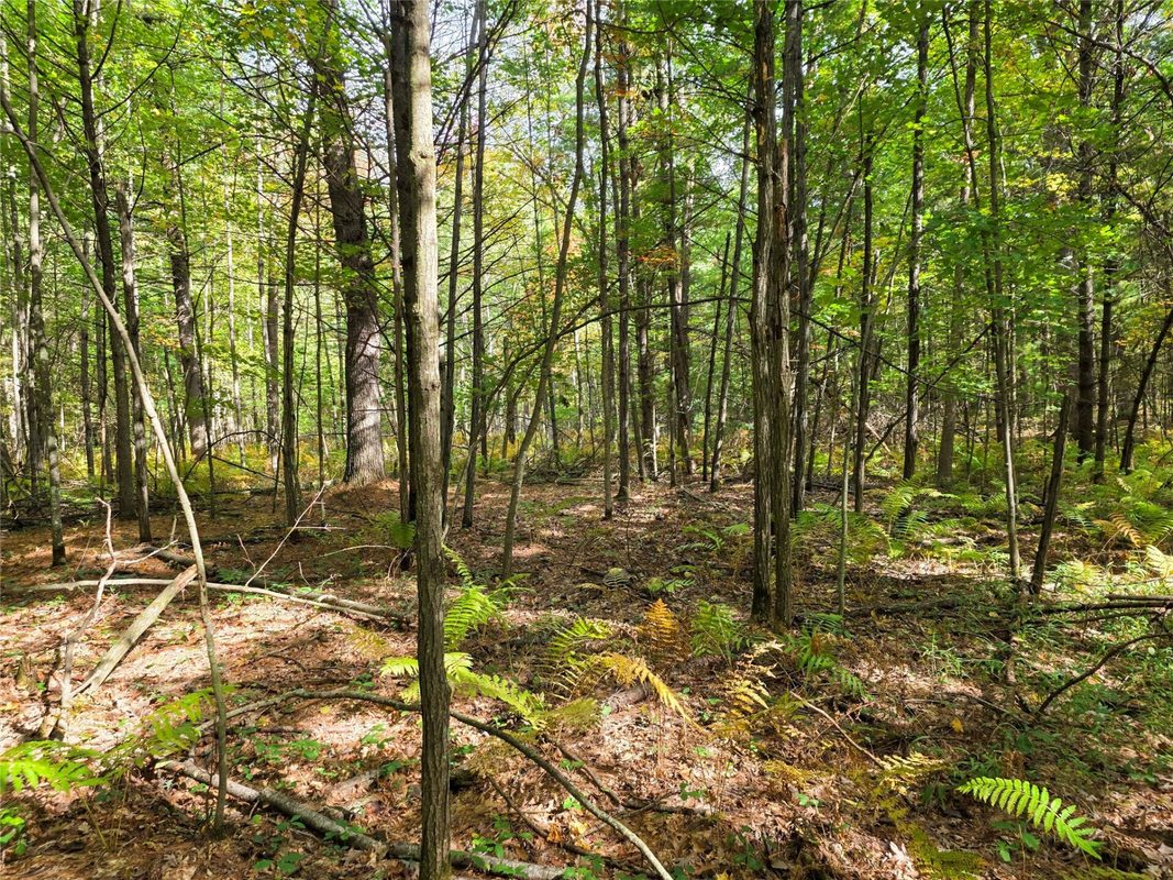 S10130 County Road H, Fairchild WI 54741 - Residential house for sale - MLS #1605513 - image40