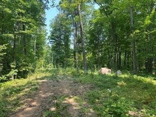 10810N Dachstein Lane, Hayward WI 54843 - Land house for sale - MLS #1604525 - image1