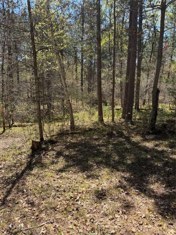 2395 Island Lake Road, Barnes WI 54873 - Land house for sale - MLS #1601454 - image15