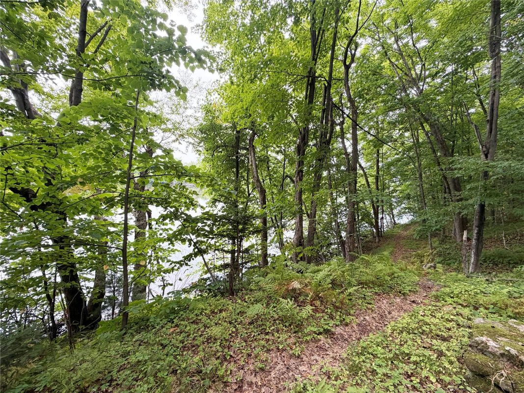 1101 5th Street, Ladysmith WI 54848 - Land house for sale - MLS #1598875 - image10