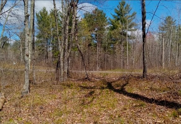 N8829 County Highway E, Hayward WI 54843 - Land house for sale - MLS #1598387 - image1