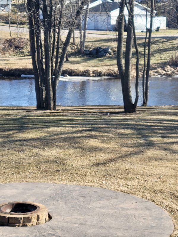 Residential at 501 Yellow Street, Cadott, WI 54727 — photo 47