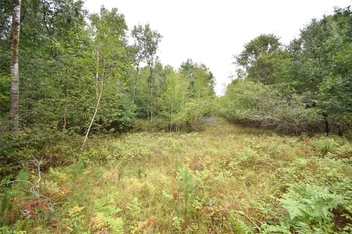 W9444 Dock Lake Road, Spooner WI 54801 - Residential house for sale - MLS #1605418 - image51