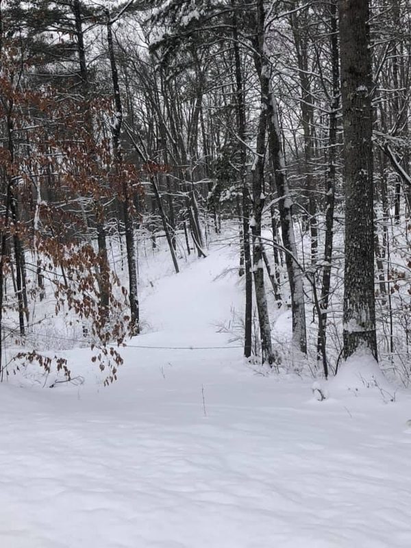 8827 Norwis Road, Hayward WI 54843 - Land house for sale - MLS #1601882 - image14