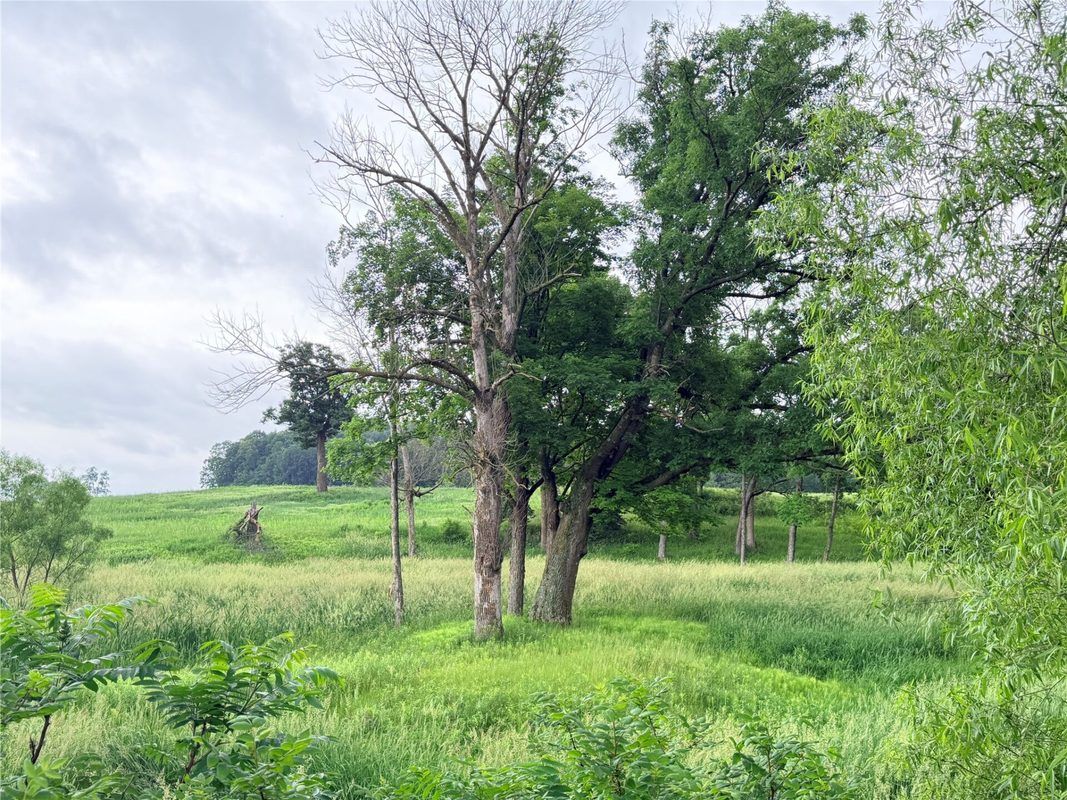 0 Grandview Drive, Fall Creek WI 54727 - Land house for sale - MLS #1603307 - image14