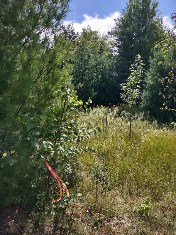 TBD Lot 7 10 1/4 Avenue, Chetek WI 54728 - Land house for sale - MLS #1595118 - image5