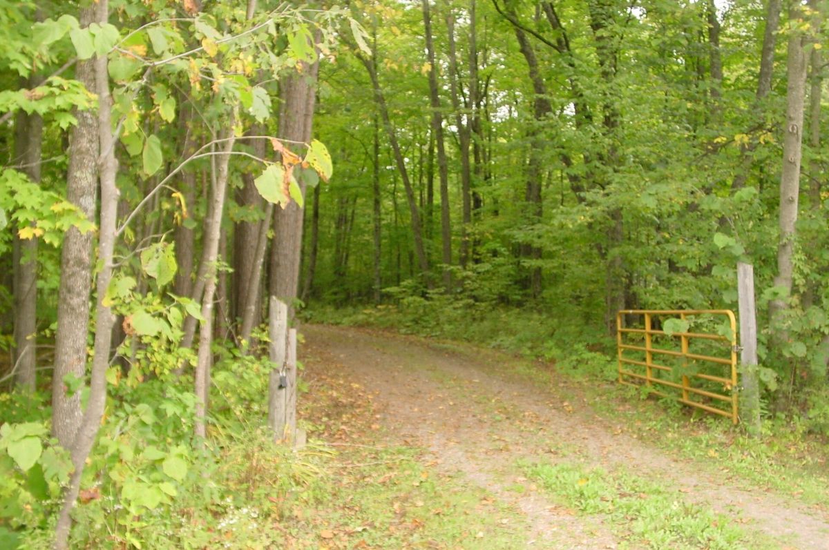 N5391 Hwy. 73, Ingram WI 54526 - Residential house for sale - MLS #1604886 - image55