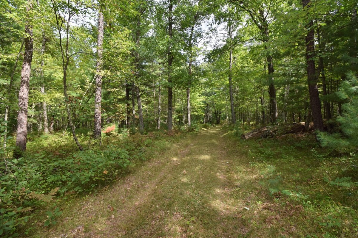 28206 Pardun Road, Danbury WI 54830 - Land house for sale - MLS #1604938 - image42