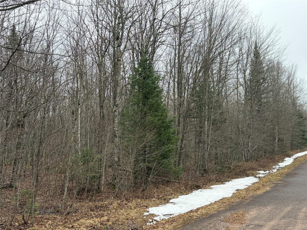 ON N Hofer Road Couderay WI 54828 — photo 5
