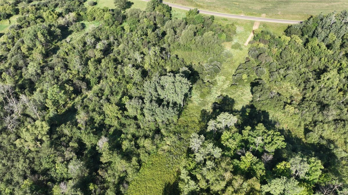 XX County Road O, Boyceville WI 54725 - Land house for sale - MLS #1604881 - image11