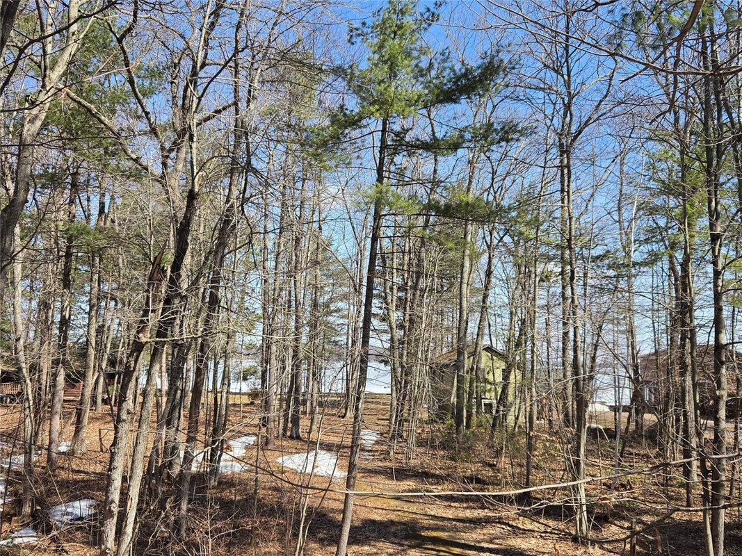 Lot 1 W South Shore Rd Hayward WI 54843 — photo 22