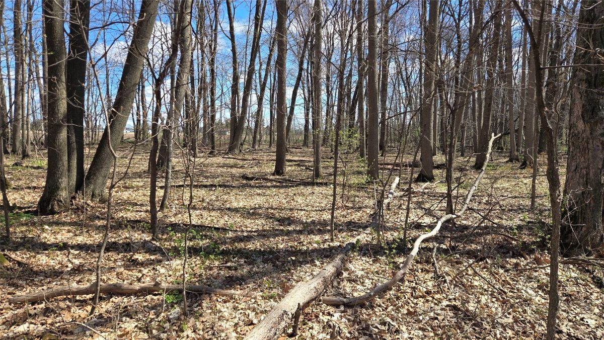 012345 26th Avenue, Rice Lake WI 54868 - Land house for sale - MLS #1602600 - image10