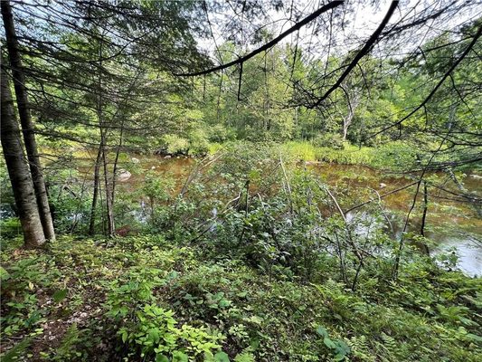 W8804 Timber Trail Ladysmith WI 54848