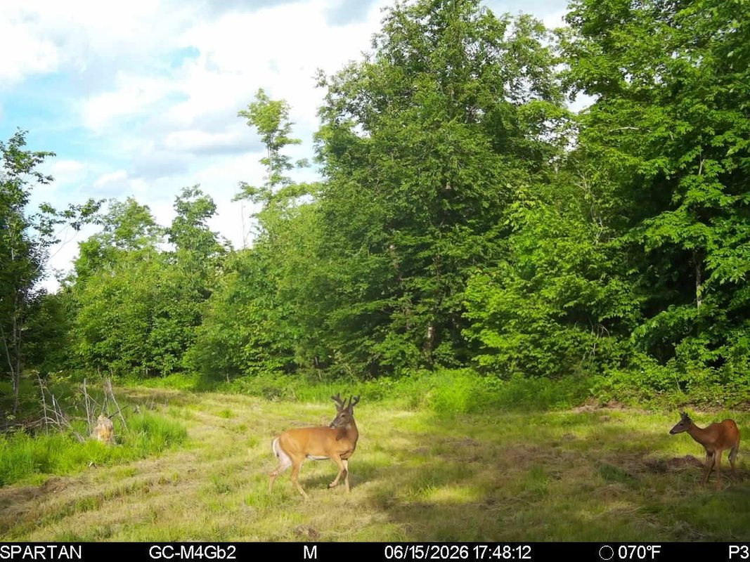 On County Road H, Radisson WI 54867 - Land house for sale - MLS #1603350 - image19