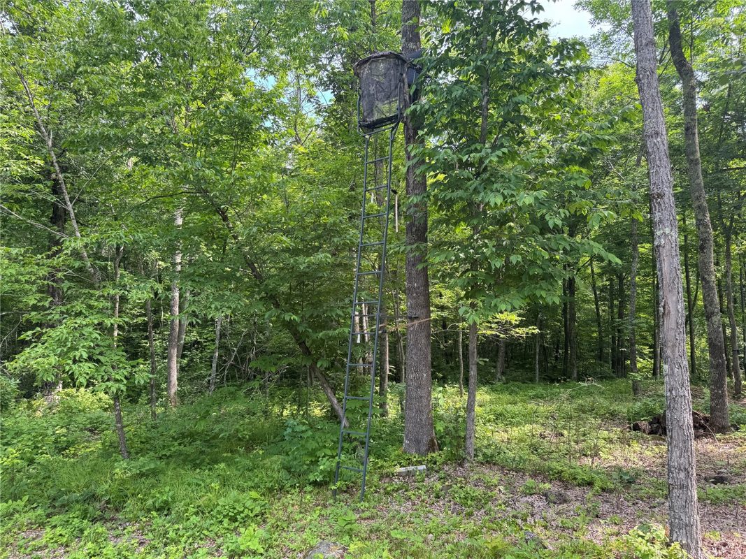 XXX Eckel Lane, Couderay WI 54835 - Land house for sale - MLS #1603143 - image36