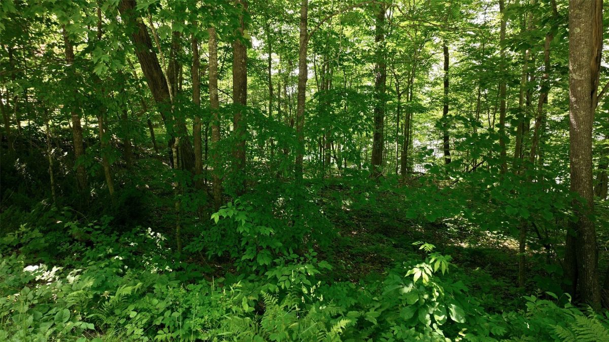 16734 Maple Terrace Drive, Birchwood WI 54817 - Land house for sale - MLS #1600112 - image11