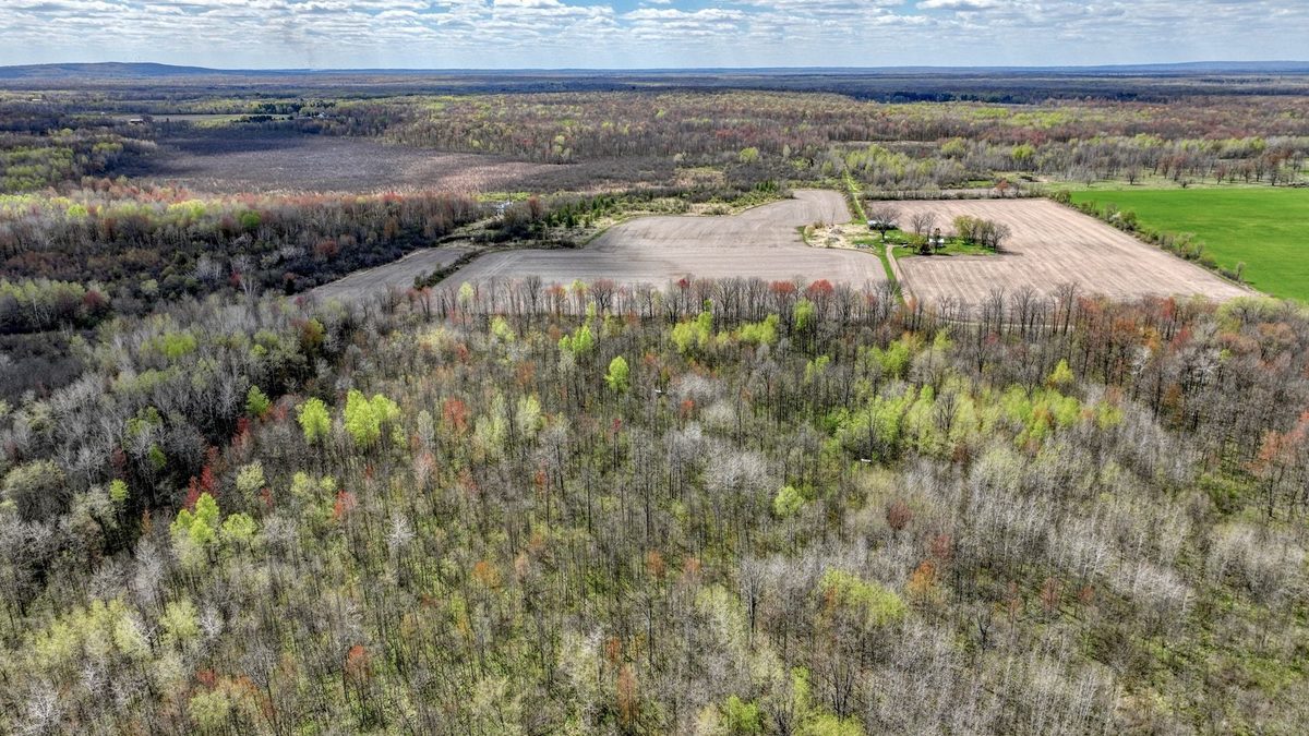 27.6 Acres off Helena Drive, Conrath WI 54731 - Land house for sale - MLS #1605499 - image11