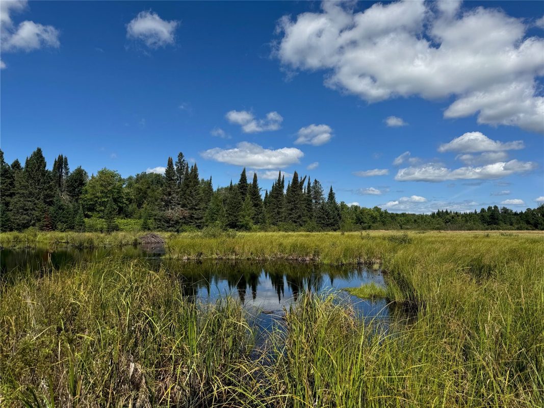 8143 Wright Road, Winter WI 54896 - Land house for sale - MLS #1594262 - image10