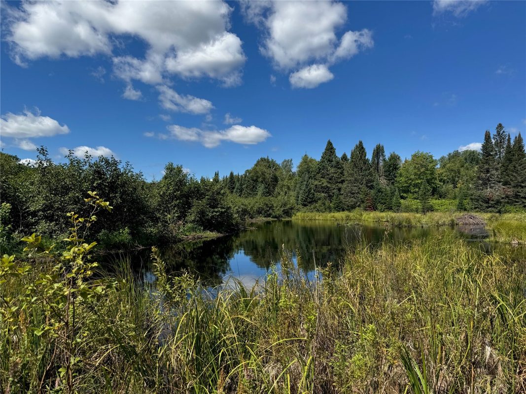8143 Wright Road, Winter WI 54896 - Land house for sale - MLS #1594262 - image14