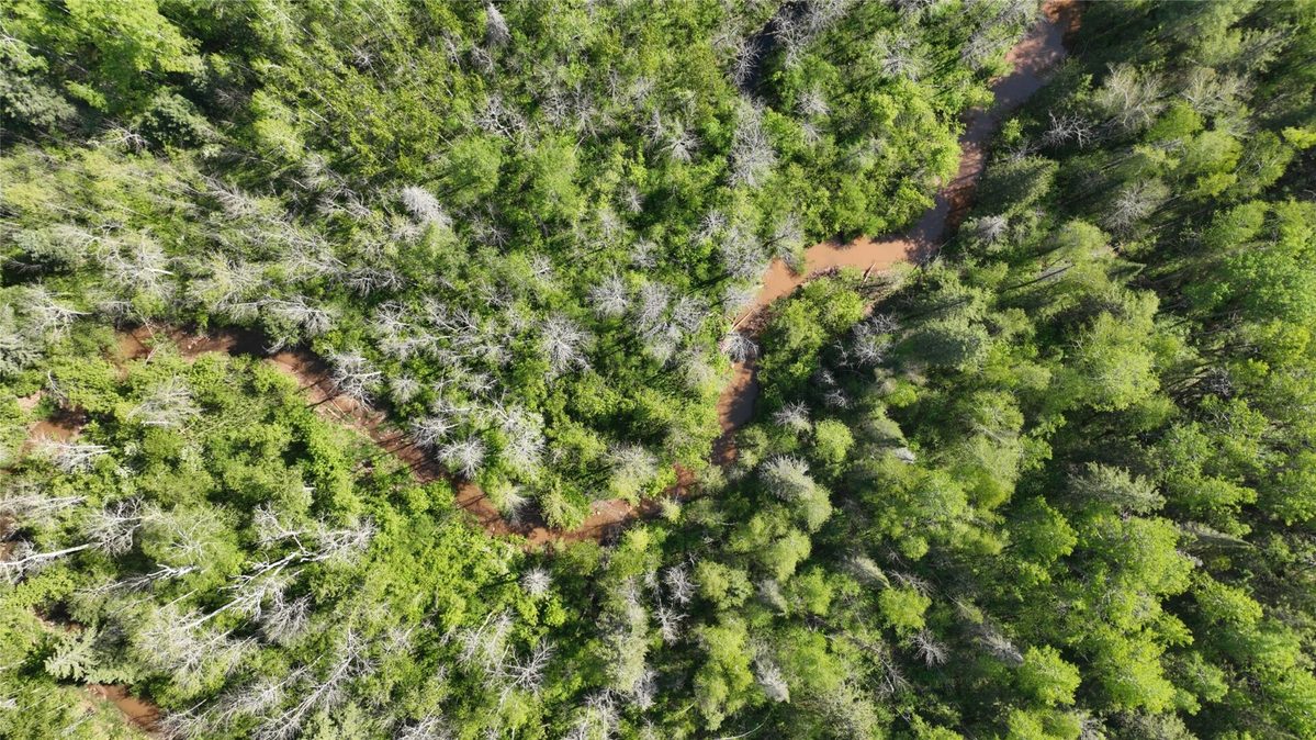 1640 County Road W, Superior WI 54880 - Land house for sale - MLS #1602205 - image13