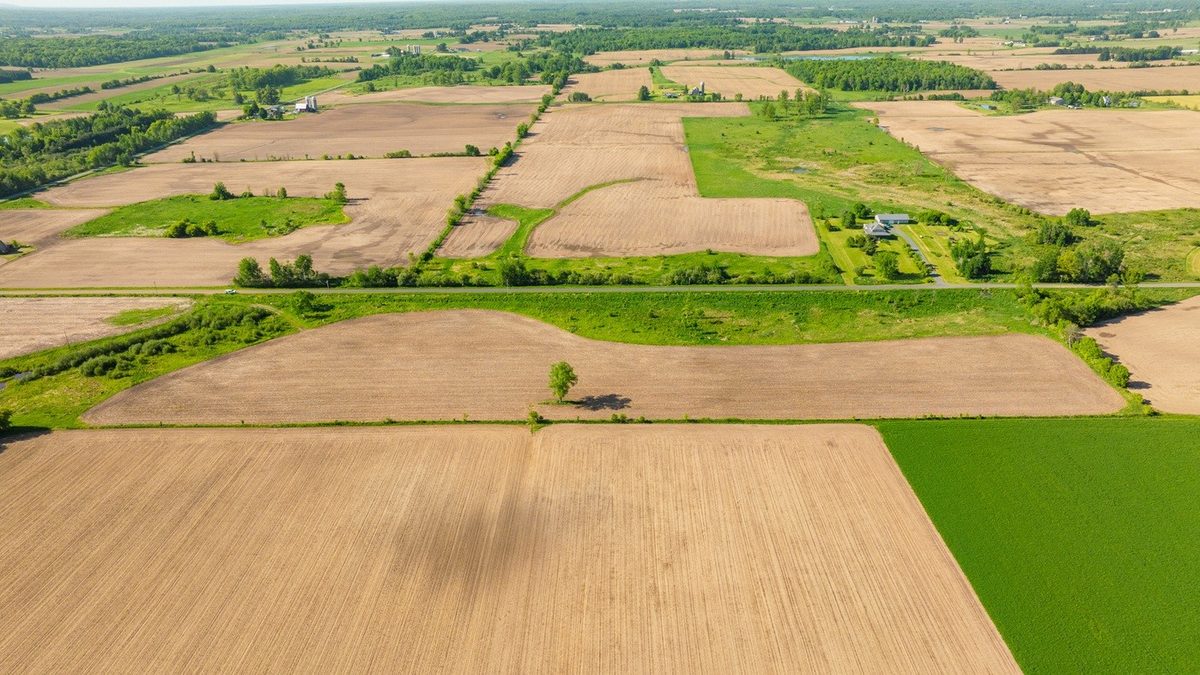 0 Nyes Road, Stanley WI 54768 - Land house for sale - MLS #1601802 - image6