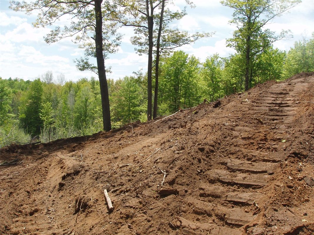 Lot 1 On Highway 169, Mellen, WI — photo 18