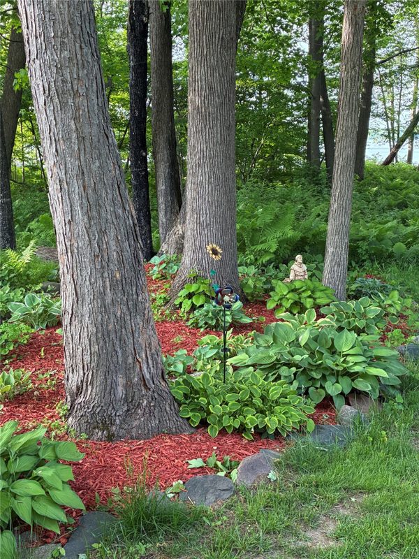 29308 305th (.92 acres) Avenue, Holcombe WI 54745 - Residential house for sale - MLS #1604124 - image49