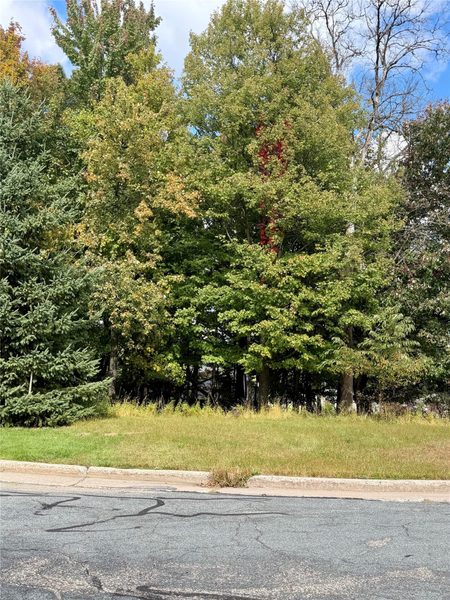 2506 Eagle Terrace