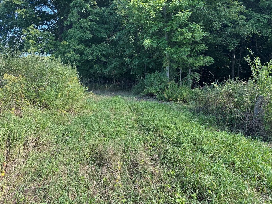 OOO County Road L, Merrill WI 54452 - Land house for sale - MLS #1605059 - image4