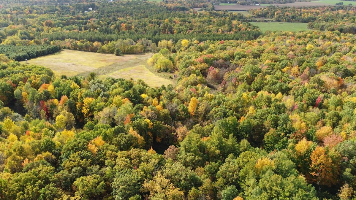 3461 56th, Frederic WI 54837 - Land house for sale - MLS #1605729 - image2