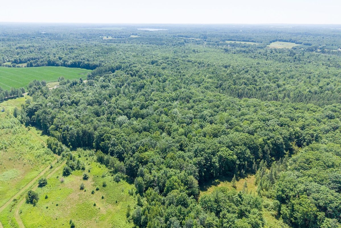 W11680 Jenness Road, Bruce WI 54819 - Residential house for sale - MLS #1603173 - image20