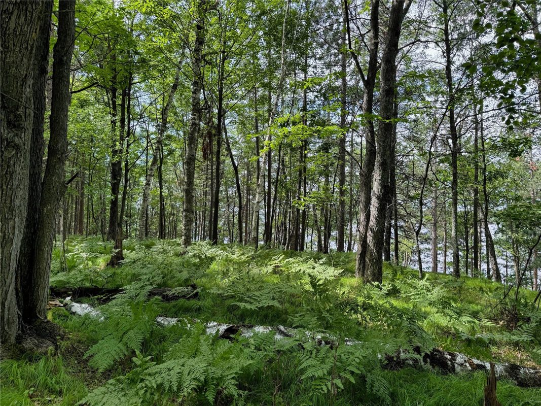 11149 Merganser Lane, Hayward WI 54843 - Land house for sale - MLS #1604672 - image24
