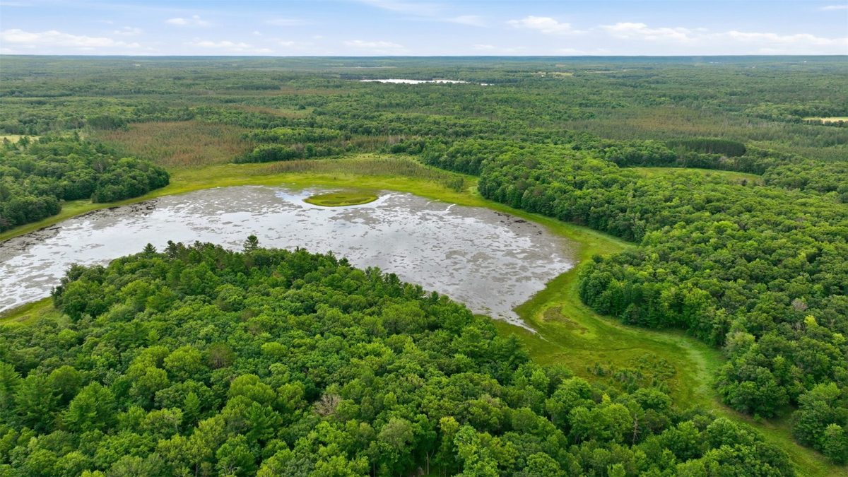 0 Goose Lake, Spooner WI 54801 - Land house for sale - MLS #1603400 - image17