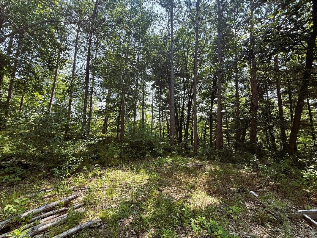 N3720 State Highway 40, Bruce WI 54819 - Land house for sale - MLS #1603658 - image2